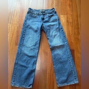 Levi's Premium Low Loose Jeans